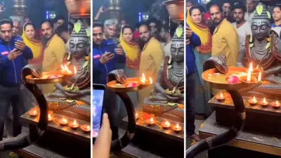 Viral Video: शिव मंदिरात सापाने केली आरती? व्हिडीओ पाहून तुम्हीही थक्क व्हाल