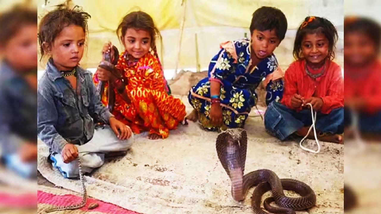 या गावातील प्रत्येक घरात तुम्हाला साप दिसतील. इथल्या लोकांच्या स्वयंपाक घरापासून ते शयनगृहापर्यंत सापाचा आदिवास आहे. कुठे नं कुठे साप हा दिसलेच. एकाच छताखाली माणूस आणि साप राहतात. या सापांसोबत मुलं खेळतात. त्यांना दूध पाजतात.