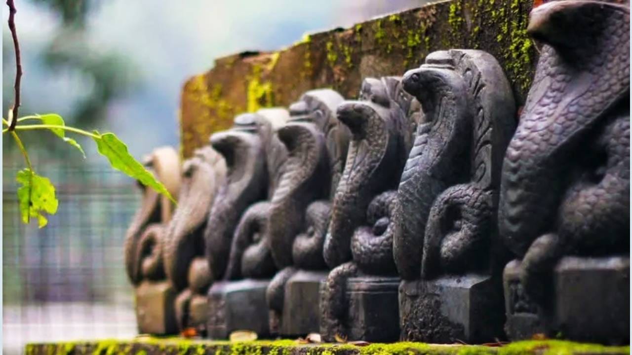 ही लोक सापाला भगवान शंकराचे, शिवाचे प्रतिक मानतात. या गावात शंकराची आणि सापाची मंदिरं आहेत. इथं अनेक शिळा आहेत. ज्यावर साप आणि नाग कोरलेले आहेत. त्याची ही लोकं पूजा करतात. नागपंचमीला तर इथं अभूतपूर्व सोहळा असतो. अनेक पर्यटक खास या गावाला भेट देण्यासाठी येतात.