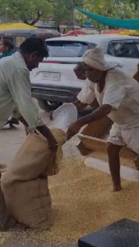 सीसीआय मार्फत सोयाबीन