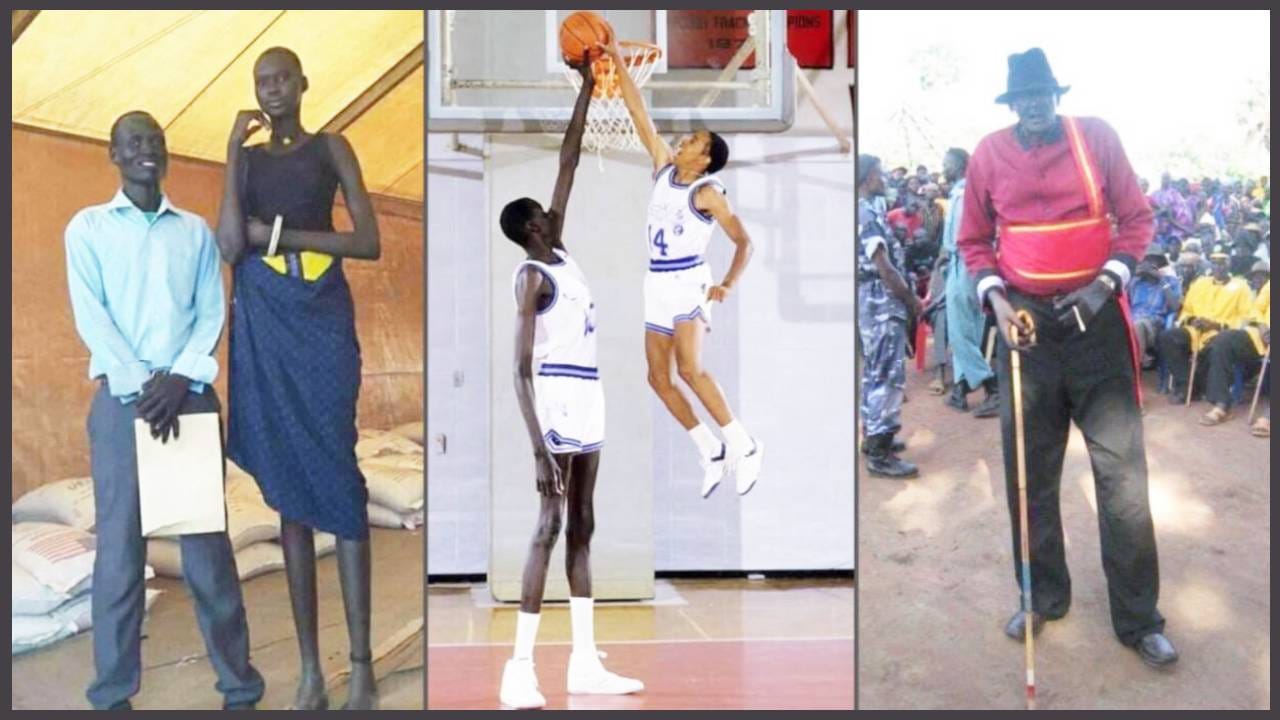 डिंका जमातीतील पुरुषांची सरासरी उंची 182.6 सेंटीमीटर इतकी आहे. तर महिलांची सरासरी उंची 176.4 सेंटीमीटर इतकी आहे. डिंक जमातीत 1.80 मीटर पेक्षा कमी असलेले लोक कमी उंचीचे मानले जातात. डिंका समुदायाच्या गावात तर जवळपास दोन मीटर उंचीच्या लोकांना मान वर करून पाहावे लागते. 