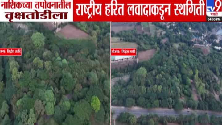 Tapovan Tree Felling : ...तोपर्यंत झाडं कापता येणार नाही, नाशिक तपोवनमधील वृक्षतोडीला राष्ट्रीय हरित लवादाकडून स्थगिती Tapovan Tree Felling : ...तोपर्यंत झाडं कापता येणार नाही, नाशिक तपोवनमधील वृक्षतोडीला राष्ट्रीय हरित लवादाकडून स्थगिती