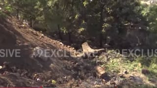 Tapovan Tree Cut : मोठी बातमी, पर्यावरण प्रेमी चिडले, नाशिकच्या तपोवनमध्ये 300 झाडं तोडली, वृक्ष तोडीला सुरुवात, VIDEO