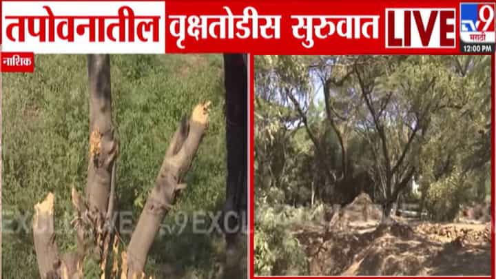 Tapovan Tree Felling : तपोवनातील झाडं तोडण्यास विरोध, तरी वृक्षतोडीस सुरुवात, पालिकेच्या अजब दाव्याने वाद वाढण्याची शक्यता! Tapovan Tree Felling : तपोवनातील झाडं तोडण्यास विरोध, तरी वृक्षतोडीस सुरुवात, पालिकेच्या अजब दाव्याने वाद वाढण्याची शक्यता!