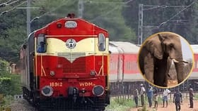 राजधानी एक्सप्रेसची हत्तीच्या कळपाला धडक, 8 हत्तींचा जागीच मृत्यू.