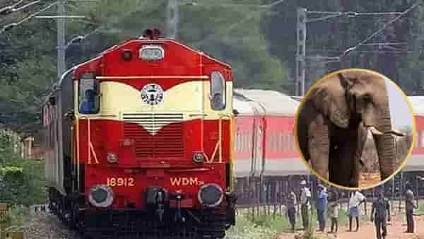 Rajdhani Express Accident : भीषण अपघात, राजधानी एक्सप्रेसची हत्तीच्या कळपाला धडक, 8 हत्तींचा जागीच मृत्यू