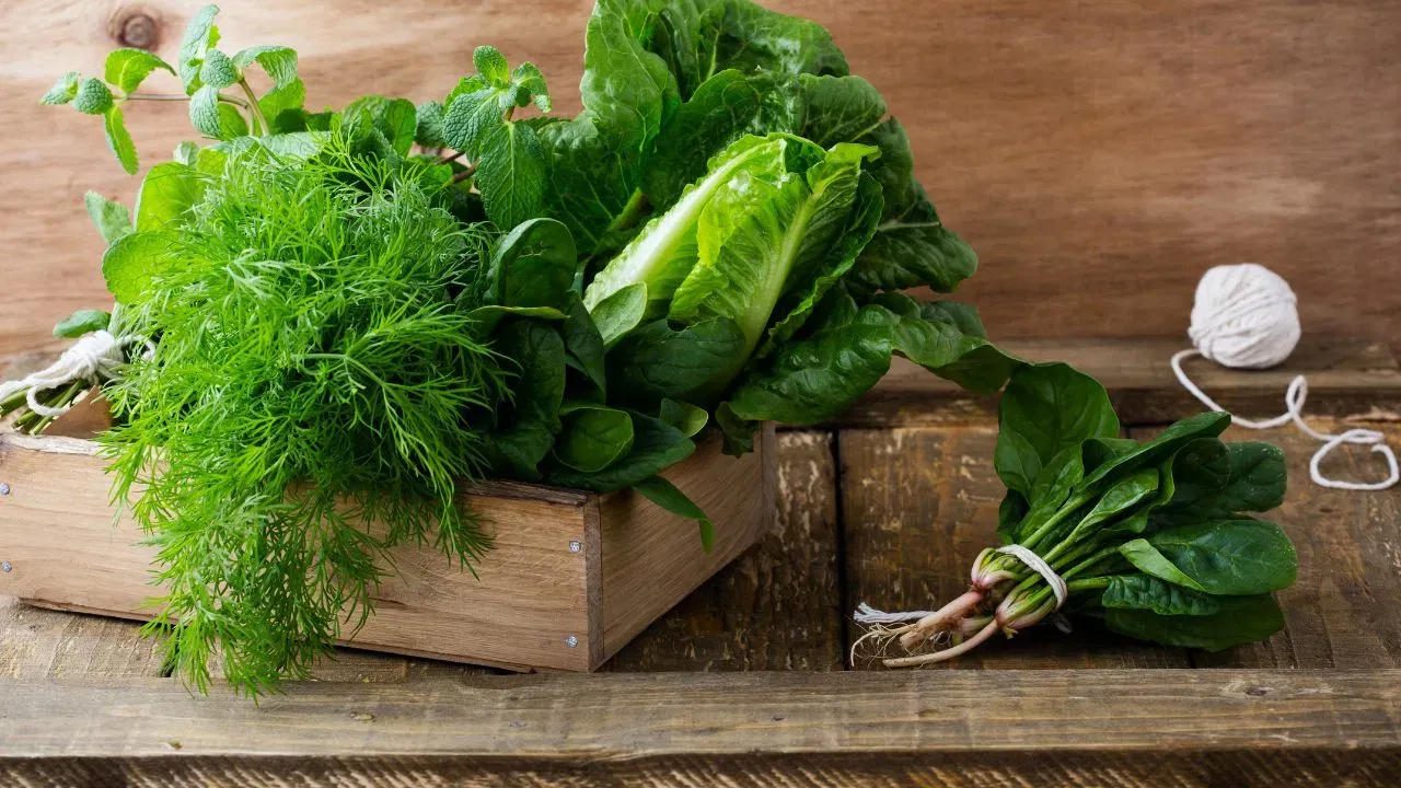 आरोग्याबाबत जागरूकता: चीनमधील श्रीमंत आणि उच्च मध्यमवर्गीय लोक आरोग्याच्या कारणास्तव (वजन कमी करणे, मधुमेह नियंत्रण) मांसाहार कमी करून 'प्लांट-बेस्ड' (वनस्पतीजन्य) आहाराला पसंती देत आहेत.