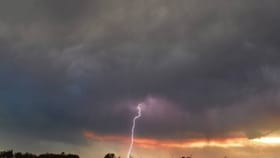 17 ते 20 डिसेंबरपर्यंत मुसळधार पाऊस, थेट अलर्ट जारी, राज्यात...