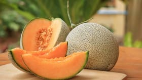 हे आहे जगातील सर्वात जास्त महागडं फळ, किंमत ऐकून घाम फुटेल.