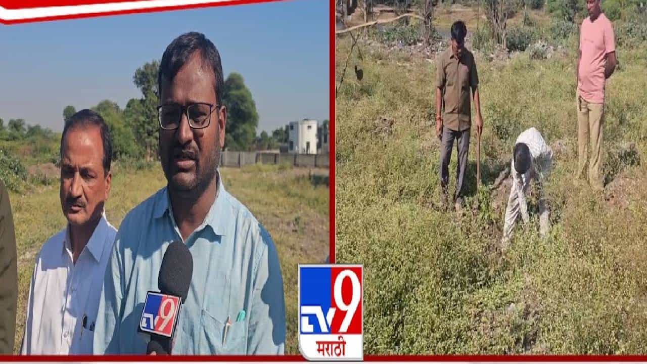 Ahilyanagar : डुकरांना सरकारच मारतंय, दिसताक्षणी... अहिल्यानगरात भयंकर घडतंय, प्रकरण नेमकं काय?