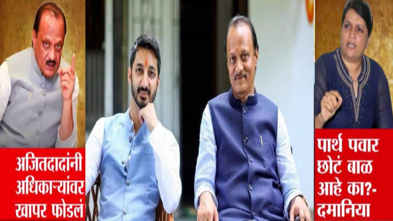 Anjali Damania :  पार्थ पवार काही छोटं बाळ... मुंडवा जमीन गैरव्यवहार प्रकरणी दमानियांची दादांवर टीका