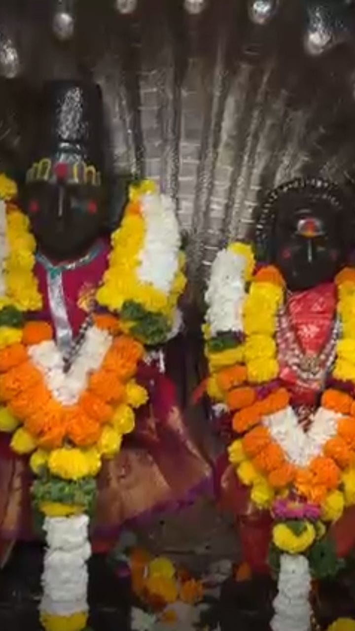 पुत्रदा एकादशीनिमित्त माऊलींच्या समाधी मंदिरात आकर्षक फुलांची सजावट