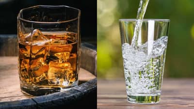 दारूचा एक पेग झाला की एक ग्लास पाणी, मद्यपानाचा हा नियम माहिती आहे का? एकदा वाचाच!