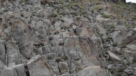 10 सेकंदात शोधा फोटोत लपलेलं जनावर, डोकेबाज असाल तर घ्या चॅलेंज !