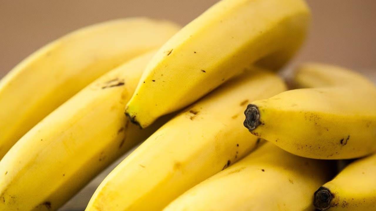 केळी खाणे आरोग्यासाठी फायदेशीर आहे. हेच नाही तर केळी खाल्ल्याने आरोग्याच्या असंख्य समस्या दूर होण्यास मदत होते. लहान मुलांपासून ते मोठ्यांपर्यंत केळी सर्वांसाठीच फायदेशीर ठरते. 