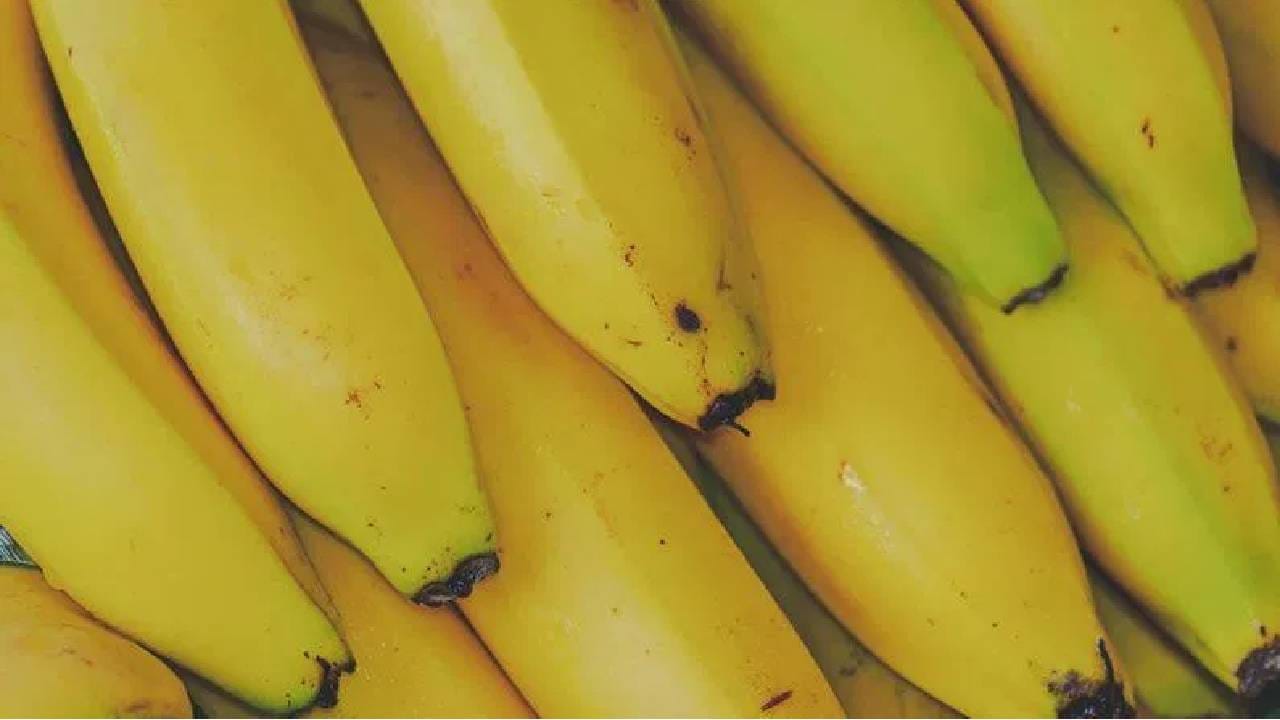 कारण थंडीच्या हंगामात केळी खाल्ल्याने सर्दीसोबतच कफ होऊ शकतो, असे अनेकांचे म्हणणे असते. चला तर जाणून घेऊयात थंडीच्या हंगामात केळी खाणे फायदेशीर ठरते का? 