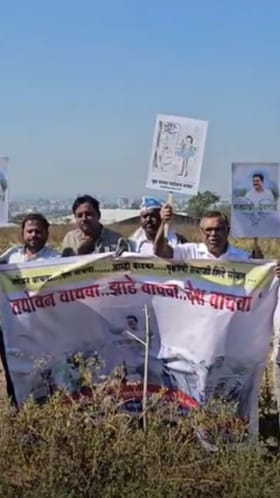 बीडमधील ३० लाख झाडांचे काय झाले?