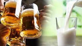 दारू आणि दूध एकत्र पिल्यास काय होतं? सत्य समजताच बसेल मोठा धक्का!