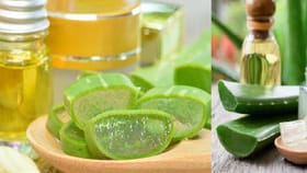 केसांना कोरफड लावल्यामुळे खरचं केस वाढतात का?.