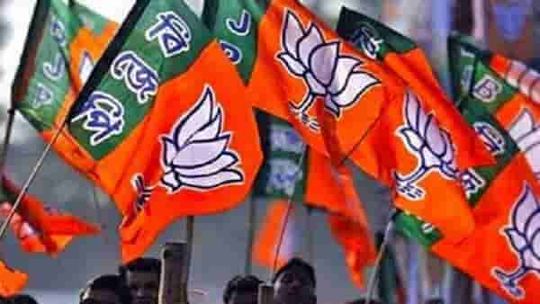 महाराष्ट्रभर झंझावात... पण सांगलीच्या तासगावमध्ये भाजपच्या अख्ख्या पॅनलचं डिपॉझिट जप्त, कसं घडलं? मोठी खळबळ