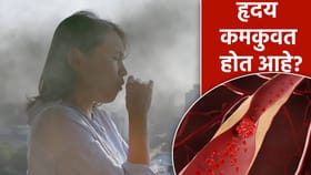वाढलेल्या प्रदुषणामुळे शरीरातील रक्त गोठण्याची भीती?.