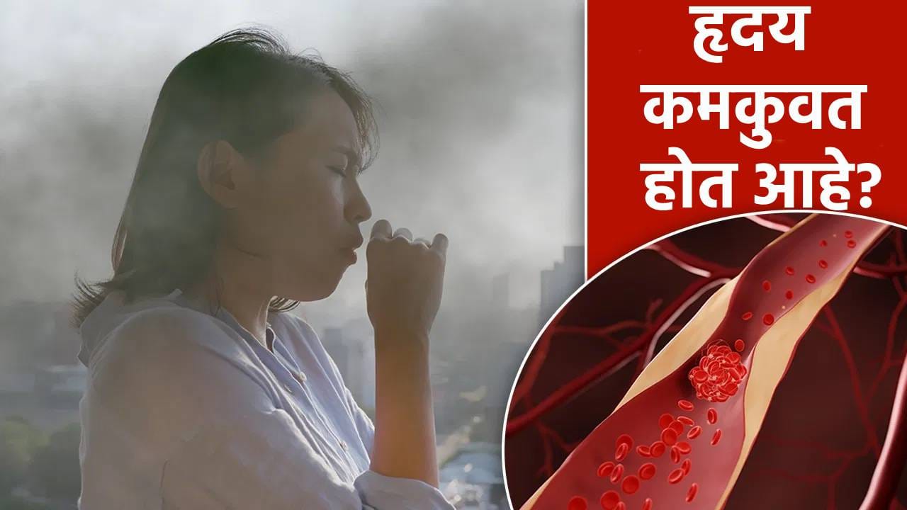 वाढलेल्या प्रदुषणामुळे शरीरातील रक्त गोठण्याची भीती? काळजी कशी घ्यावी जाणून घ्या.... वाढलेल्या प्रदुषणामुळे शरीरातील रक्त गोठण्याची भीती? काळजी कशी घ्यावी जाणून घ्या....