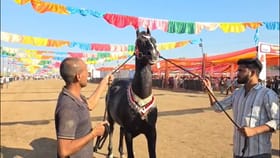 15 कोटी रुपयांना विकला जातोय ब्रम्होस, काय आहे इतकं खास?.