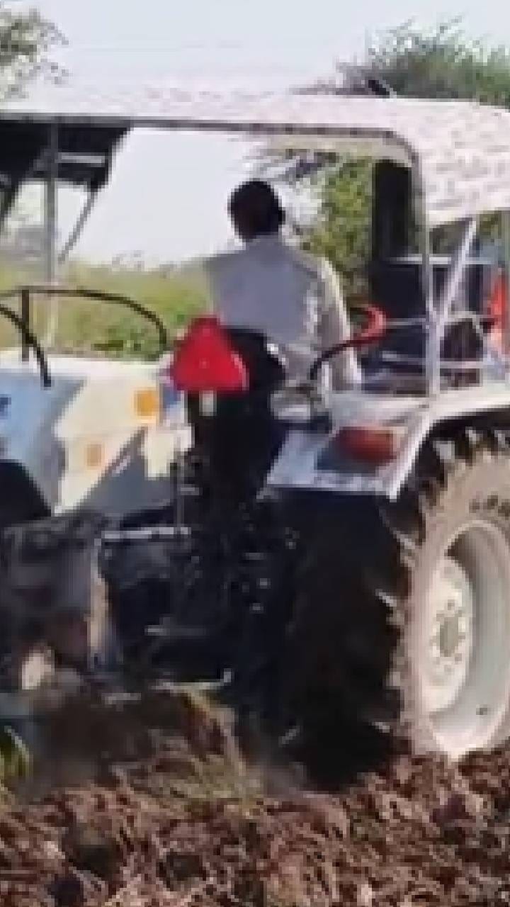 पाच एकर शेतीवरील आंबा बाग केली नष्ट, बुलढाण्यात शेतकरी हवालदील