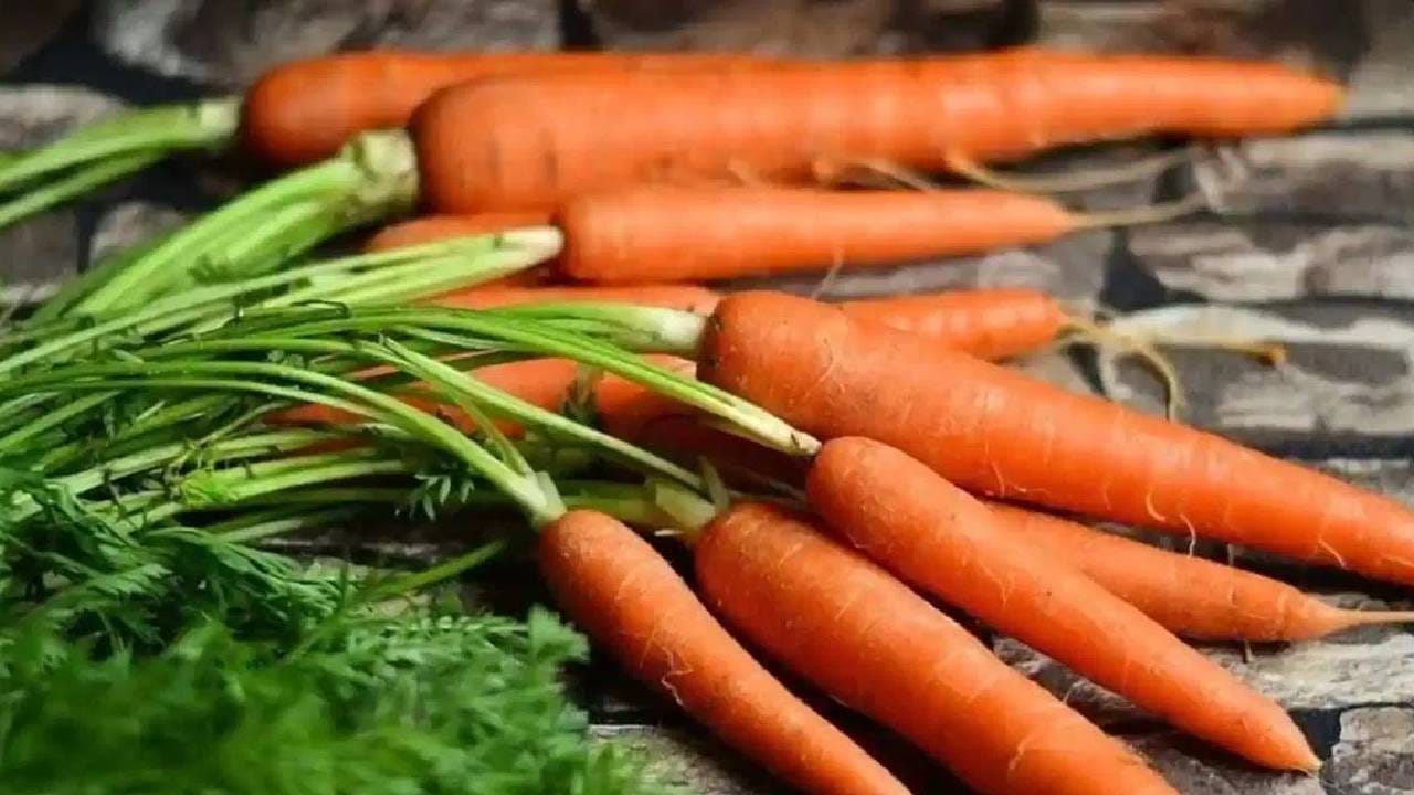 एकदम फ्रेश गाजर हिवाळ्यात आपल्याला खायला मिळतात. बरेच लोक विविध पदार्थ देखील या गाजरापासून तयार करतात. विशेष म्हणजे ही गाजर आपल्याल आरोग्यासाठी फायदेशीर ठरतात.