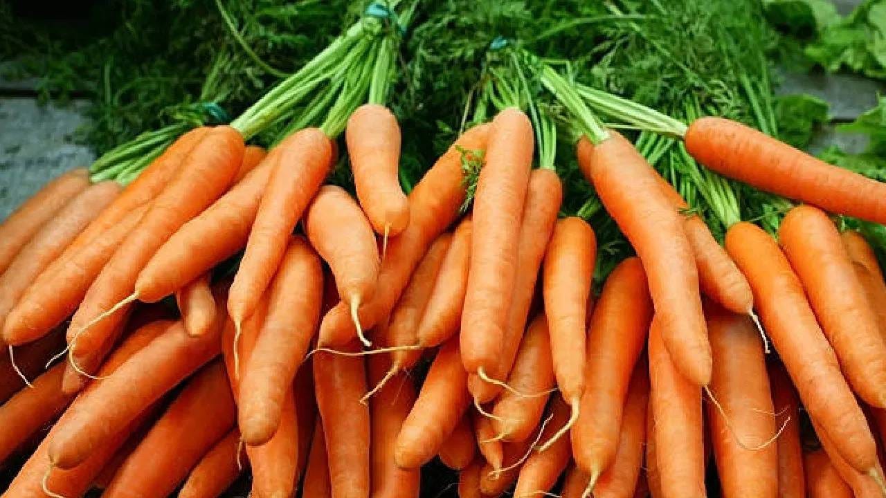 नुकताच एका संशोशनानुसार, दर आठवड्याला 2 ते 4 कच्चे गाजर खाल्ल्याने कोलोरेक्टल कर्करोगाचा धोका सुमारे 17 टक्क्यांनी कमी होतो.