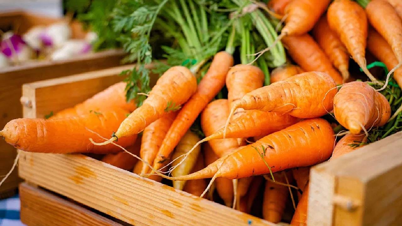 गाजरमध्ये कॅरोटीनॉइड्स आणि ल्युटीन सारखे संयुगे देखील असतात. यामुळे काहीही झाले तरीही दररोजच्या आहारात नाही तर किमान आठवड्यातून दोनदा तरी गाजराचे सेवन केले पाहिजे.