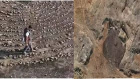 सोलापूरच्या जंगलात सापडलं 2000 वर्षापूर्वीचं सर्वात मोठं चक्रव्यूह.