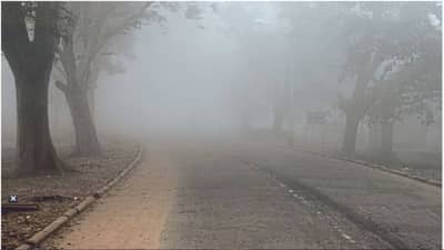 IMD Weather Update : 2 जानेवारीपर्यंत काही खरं नाही... टेन्शन वाढवणारी बातमी समोर, हवामान खात्याचा मोठा इशारा