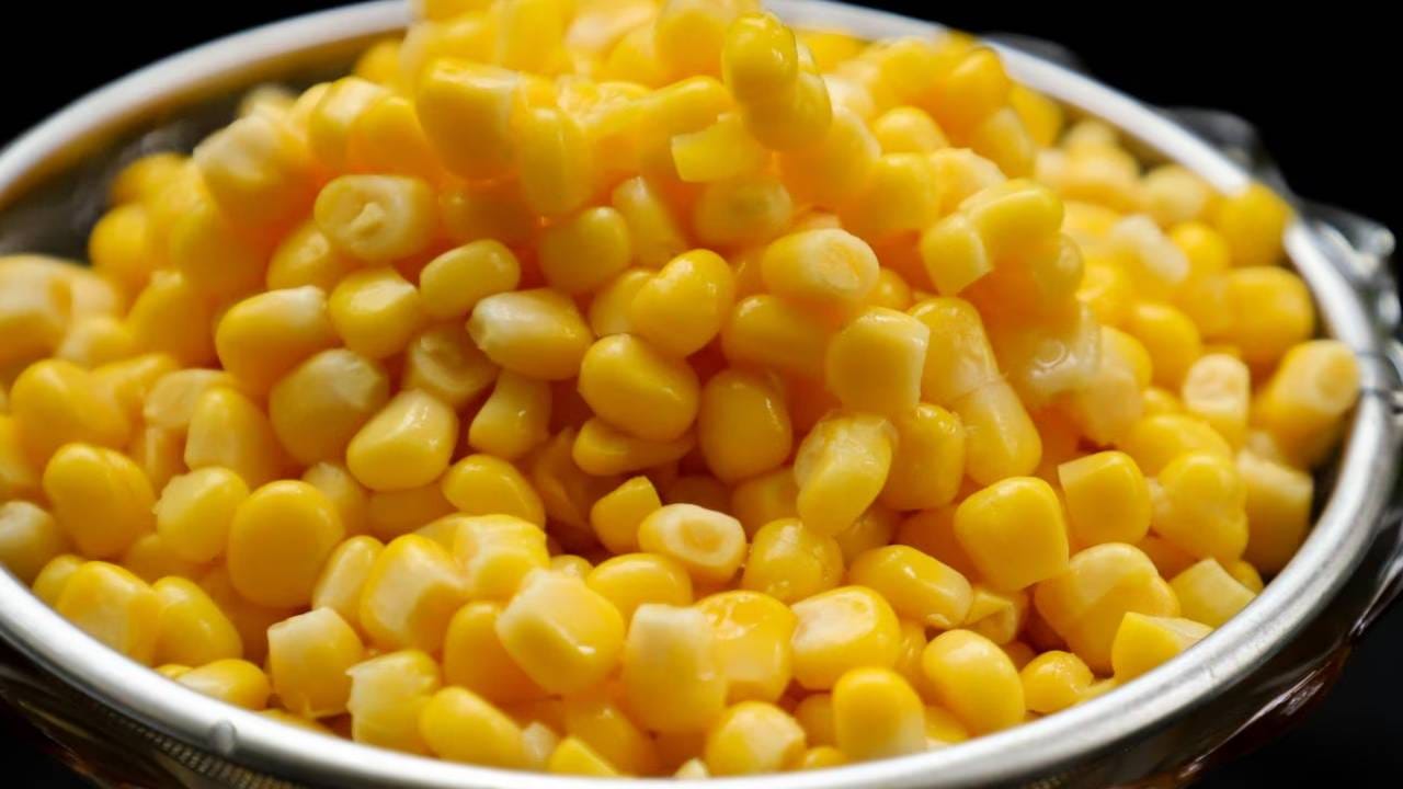 सकाळी नाश्तामध्येही तुम्ही मक्याची भाकरी आणि दही खाऊ शकतात. मक्याची भाकरी आणि साग हिवाळ्यात खाण्यावर अधिक लोकांचा भर असतो. 