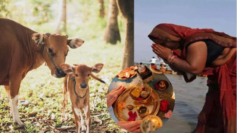 Disclaimer: वरच्या लेखातील माहिती ही प्राथमिक स्वरुपाची आहे. आम्ही या माहितीची पुष्टी करत नाही किंवा समर्थनही देत नाही. या लेखाच्या माध्यमातून अंधश्रद्धा पसरवण्याचा आमचा उद्देश नाही. वरच्या लेखात दिलेल्या माहितीवरून कोणताही निर्णय घेण्याआधी त्या-त्या क्षेत्रातील तज्ज्ञांचा सल्ला आवश्य घ्या.  