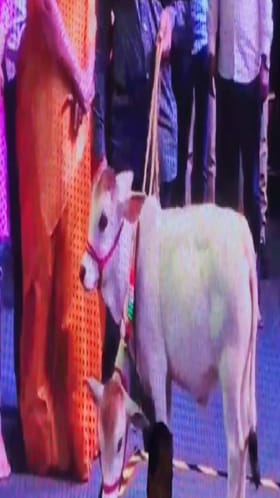 उद्ध्वस्त झालेल्या शेतकऱ्यांना शिवसेनेने दिला असा आधार.