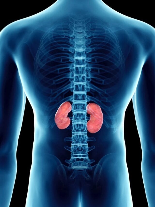 किडणी निरोगी ठेवण्यासाठी काय खावे?