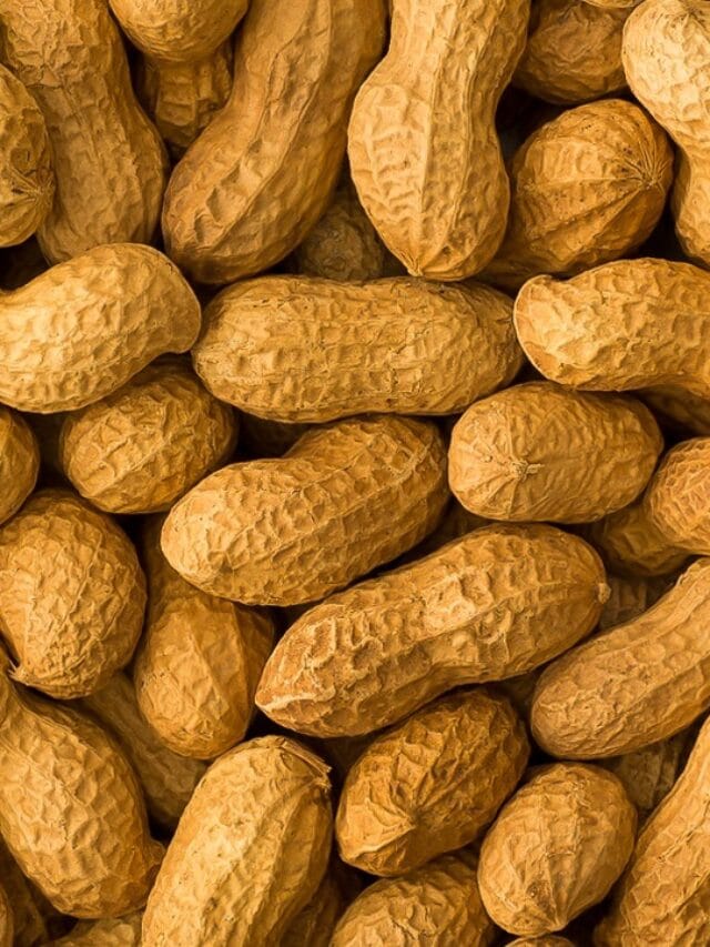 भुईमूगच्या शेंगा आरोग्यास होणारे 6 फायदे घ्या जाणून