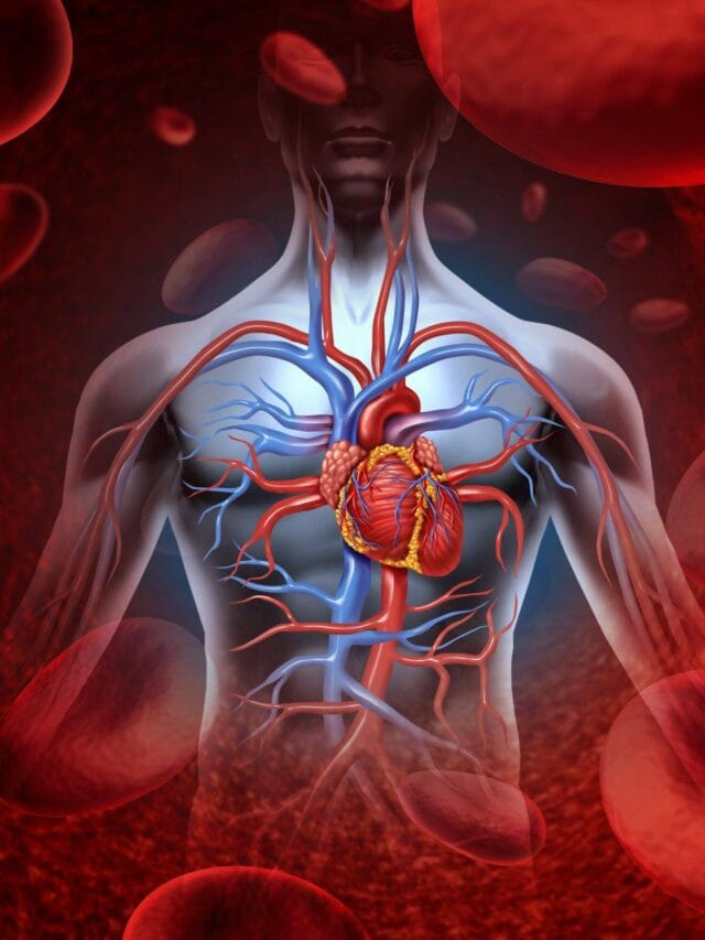 रक्तवाढीसाठी व्हिटामिन सी आणि आयर्नने भरपूर 5 पदार्थ पाहा