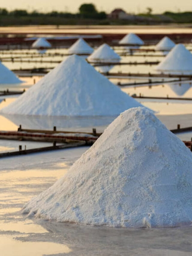 जगातील सर्वात खारट समुद्र कोणता माहितीये?