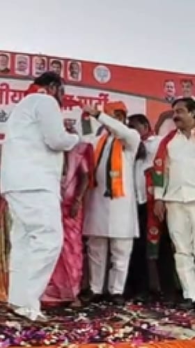 शरद पवार यांना मोठा धक्का, ऐन निवडणुकीत.....