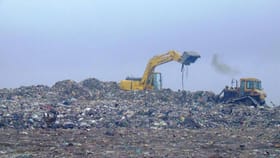 कांजूरमार्ग डंपिंग ग्राऊंडप्रकरणी कोर्टाने BMC ला फटकारलं; शुद्ध हवा...