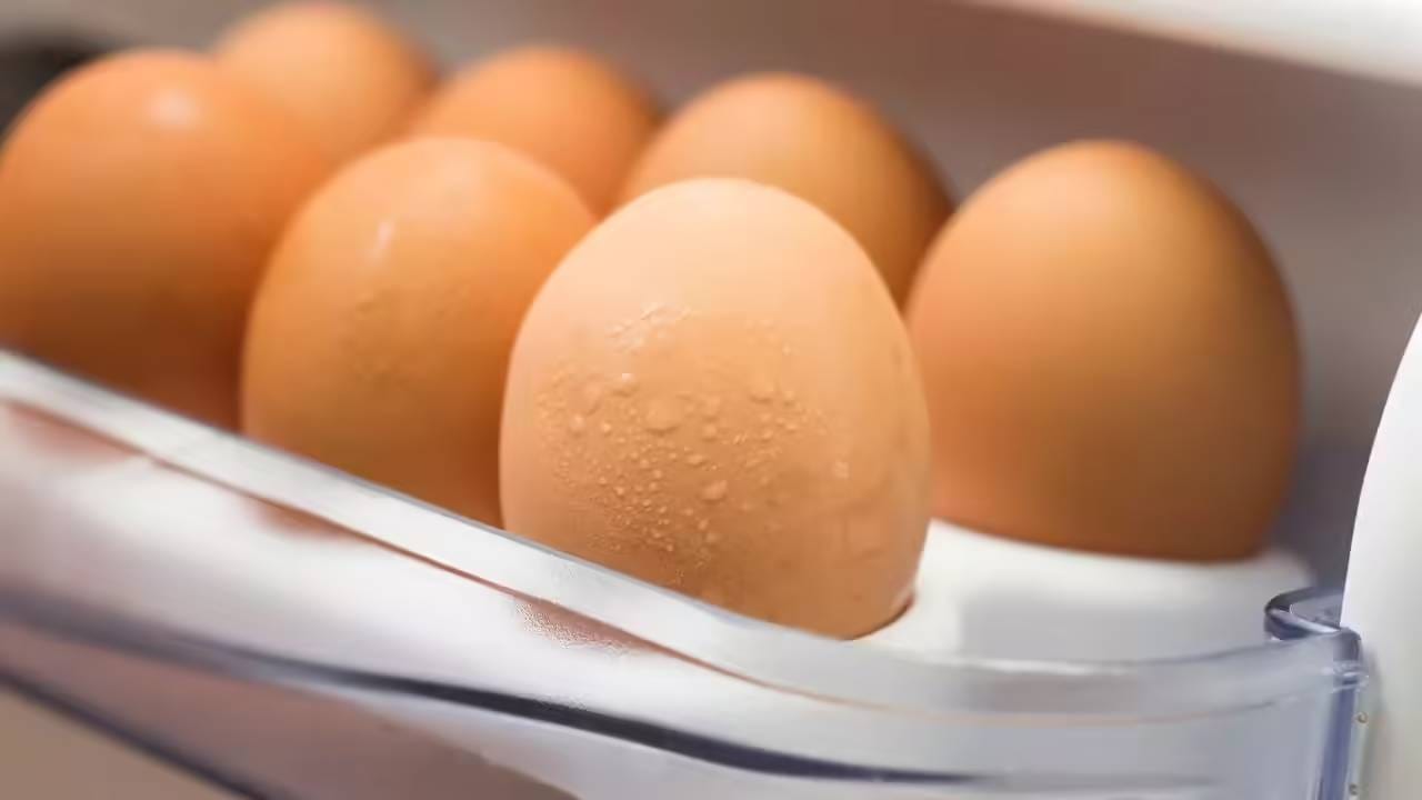 जास्ती दिवस अंडी फ्रेश ठेवण्यासाठी नेमकं काय करावे? जाणून घ्या सोप्या ट्रिक्स जास्ती दिवस अंडी फ्रेश ठेवण्यासाठी नेमकं काय करावे? जाणून घ्या सोप्या ट्रिक्स