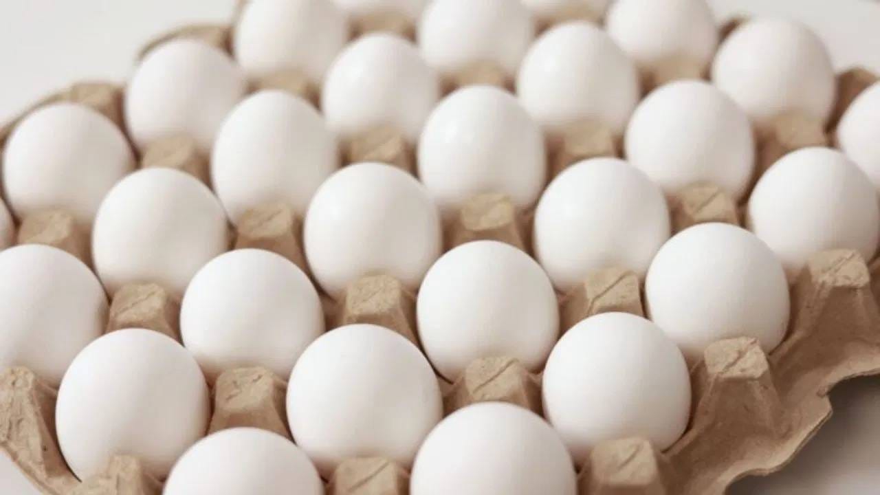 अंड्यात लपलेल्या विषामुळे कॅन्सरचा धोका, नायट्रोफ्यूरान अँटीबायोटिक कशात? कसे ओळखावे? अंड्यात लपलेल्या विषामुळे कॅन्सरचा धोका, नायट्रोफ्यूरान अँटीबायोटिक कशात? कसे ओळखावे?