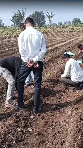 बोगस बियाणांमुळे उगवलीच नाहीत पिकं; शेतकरी चिंतेत