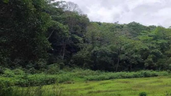 सोलापूरच्या जंगलात सापडला 2 हजार वर्षांपूर्वीचा खजना, नेमकं काय घडलं?