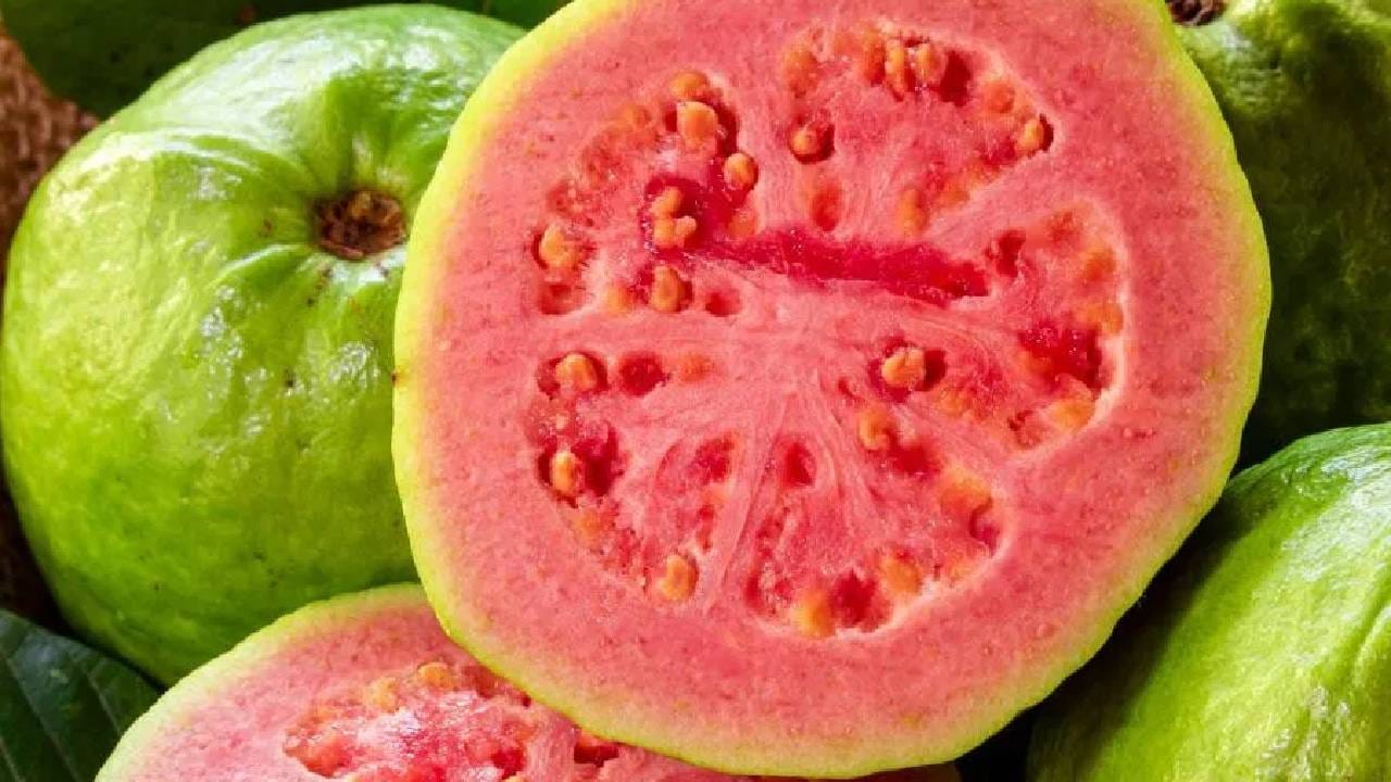 पेरू फायबरचा मोठा स्त्रोत आहे. कच्चा पेरू खाल्ल्याने पचनक्रिया चांगली होते. जर तुम्हाला पचनाची काही समस्या असेल तर पेरू दररोज खा, ज्यामुळे ही समस्या दूर होईल.