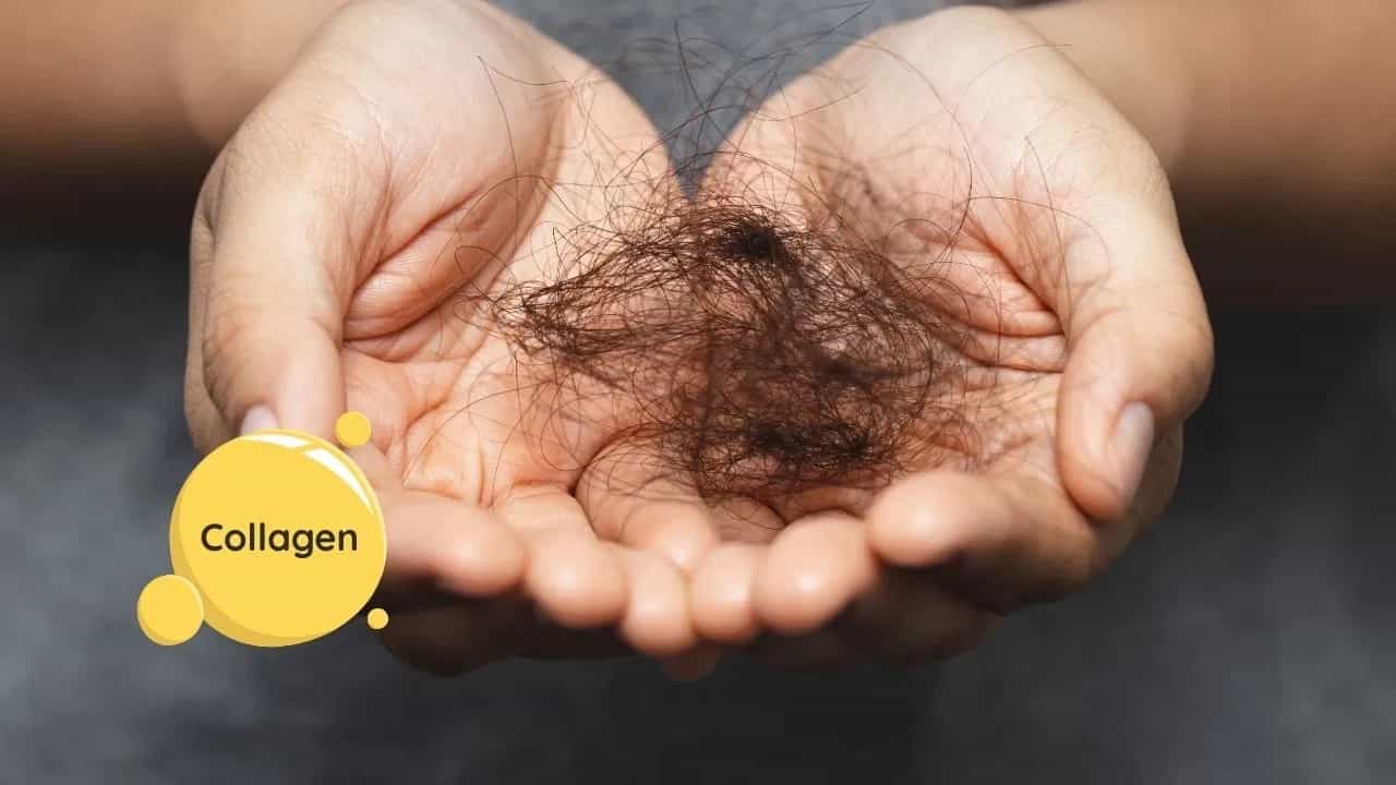 कॅरोटीनच्या निर्मितीमध्ये झिंक महत्त्वाची भूमिका बजावते. झिंकच्या कमतरतेमुळे केसांची मुळे कमकुवत होतात आणि तुटतात. याचा सामना करण्यासाठी, तुमच्या आहारात बिया आणि अंडी समाविष्ट करा.