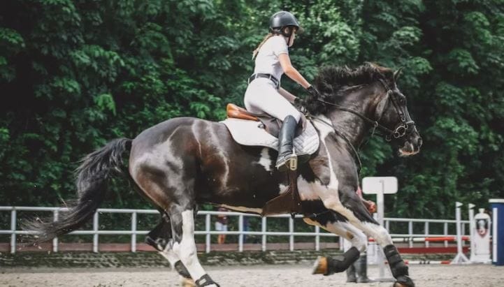 घोडा फारच कमी वेळा बसतो. त्याची शारीरिक रचना यास कारणीभूत आहे. घोड्याचा मणका हा सरळ आणि लांब असतो. त्यामुळे त्याला फार काळासाठी बसता येत नाही. घोडा बसला किंवा खाली पूर्ण झोपला तर त्याच्या पोटावर आणि फुफ्फुसावर दबाव पडतो. त्यामुळेच घोटा शक्यतो बसत नाही. तो उभा असतानाच आराम करतो. 