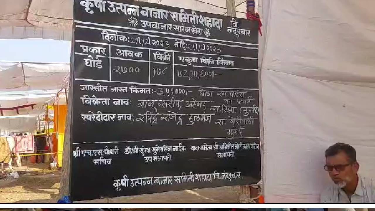 यंदा 3 हजारपेक्षा अधिक घोडे या यात्रेत दाखल झाले होते, त्यापैकी 756  घोड्यांची विक्री झाली असून तब्बल 4 कोटी 24 लाख 40 हजार 500 रुपयांची उलाढाल झाली आहे. 